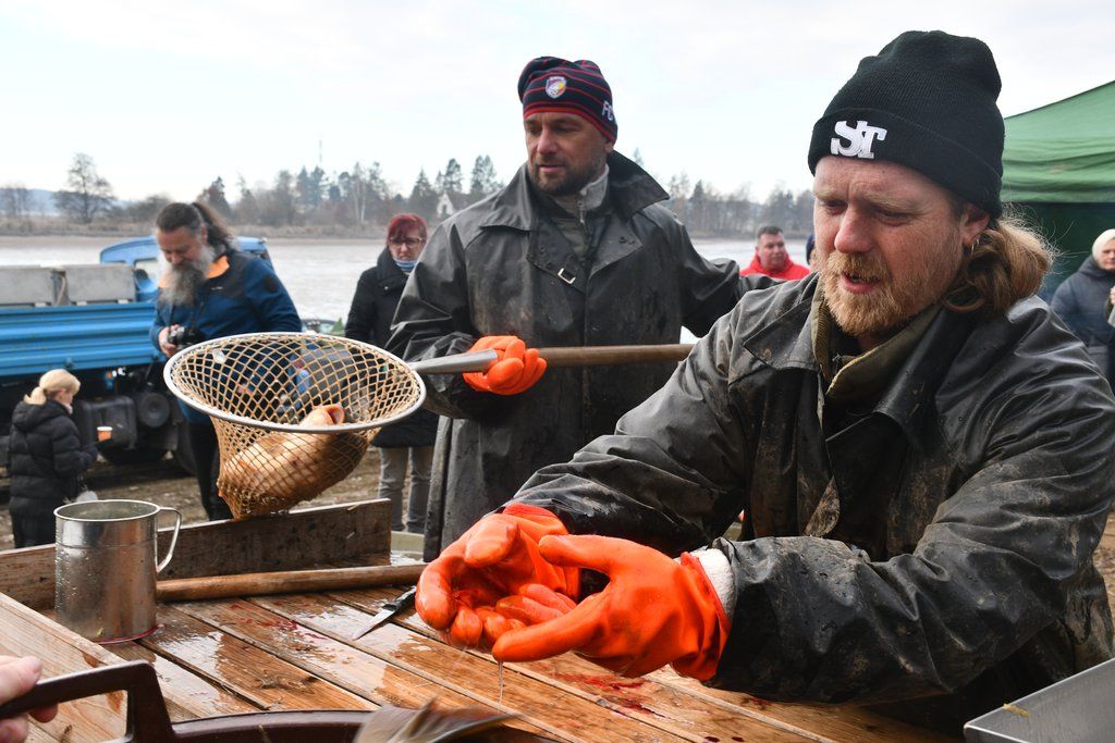 Prodej ryb Plzeň