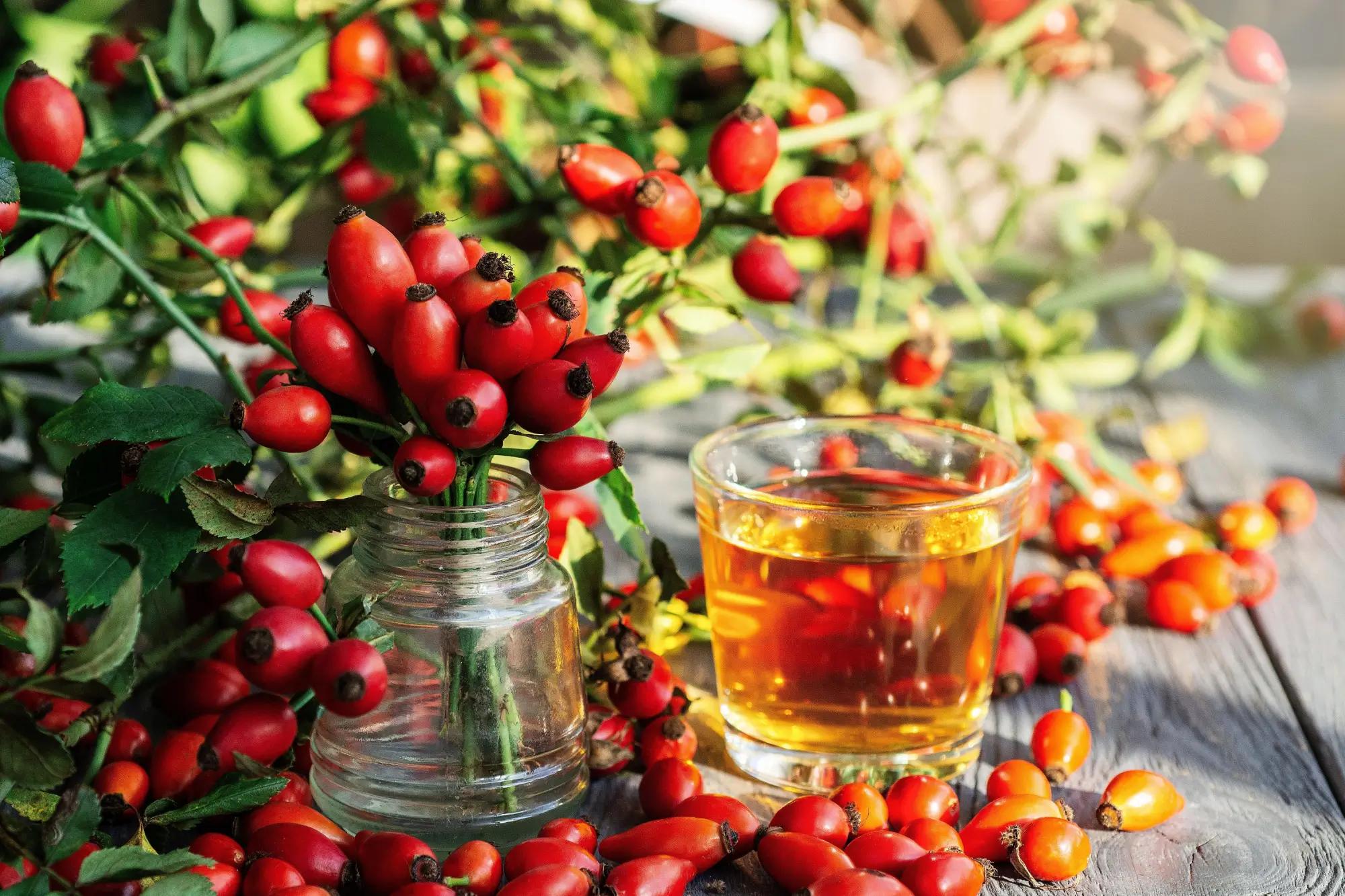 Šípek používali i naše babičky.