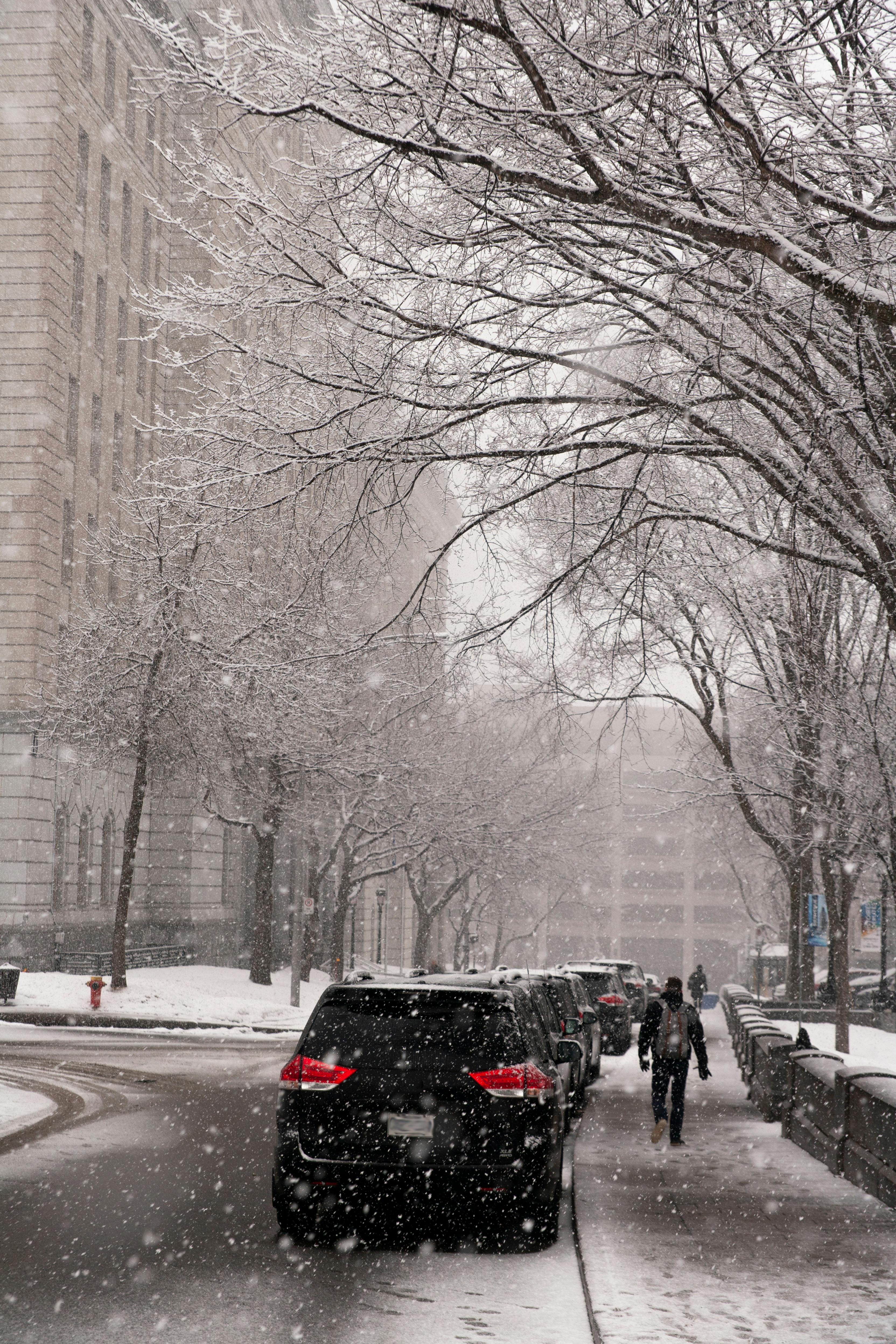 Předpověď počasí na tento týden: Ledovka, bude sněžit a přijde jaro