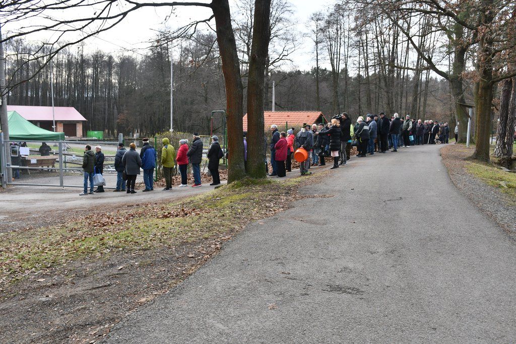 U Košináře v Plzni se prodávají ryby.