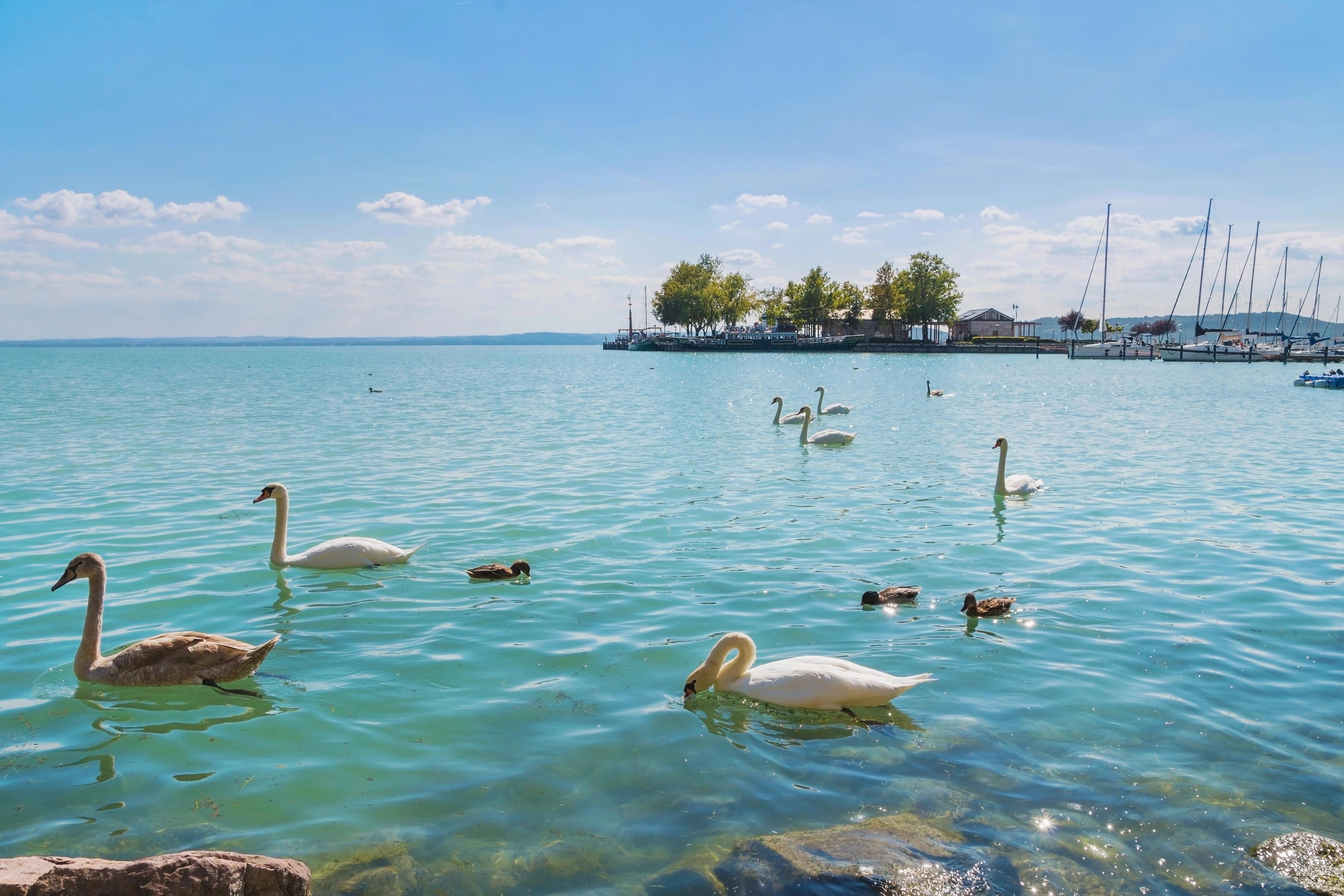 Co se dělo u Balatonu? Češky popisují šokující momenty, na které jen tak nezapomenou