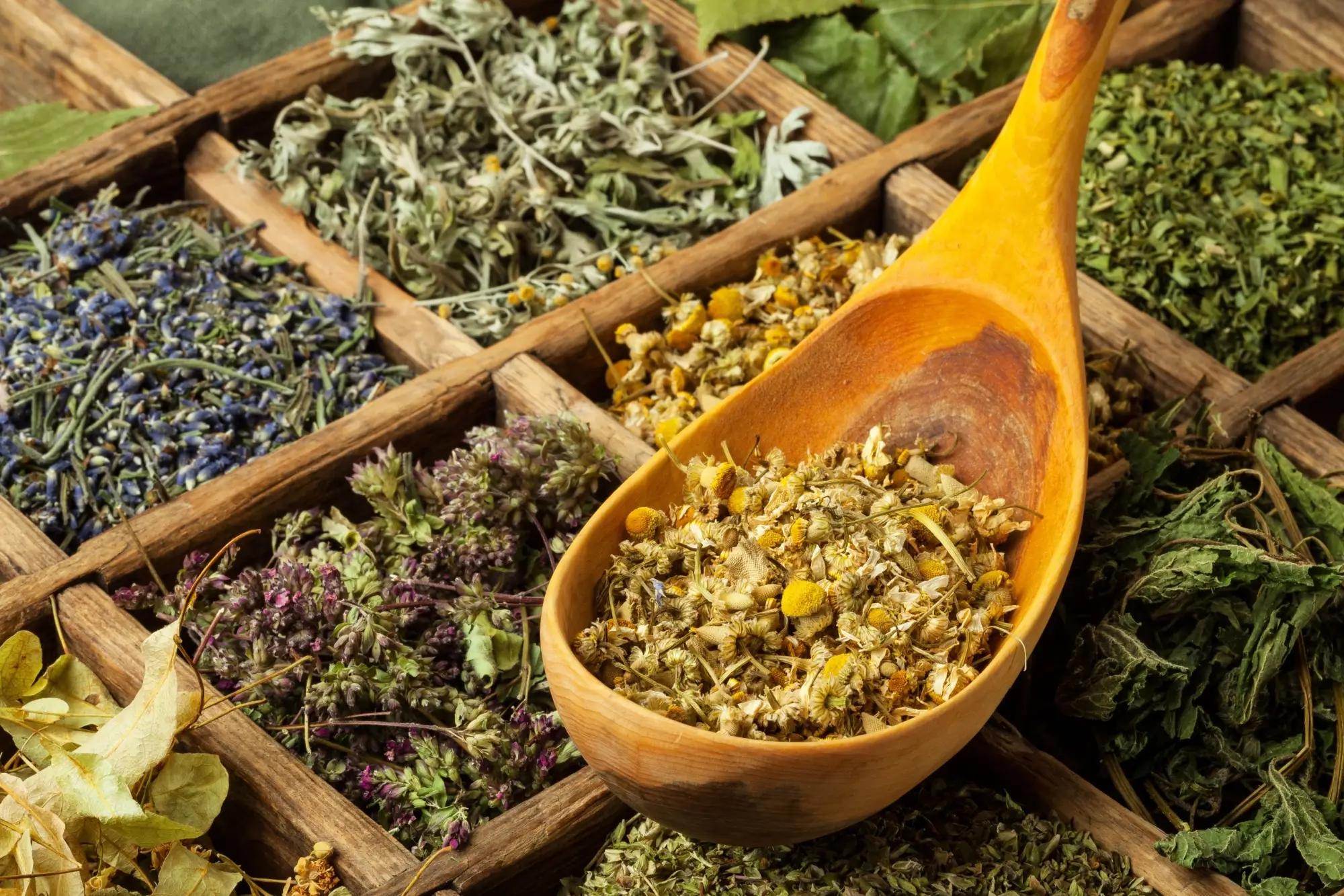 V bylinkách našich babiček se skrývá nejedno kouzlo.