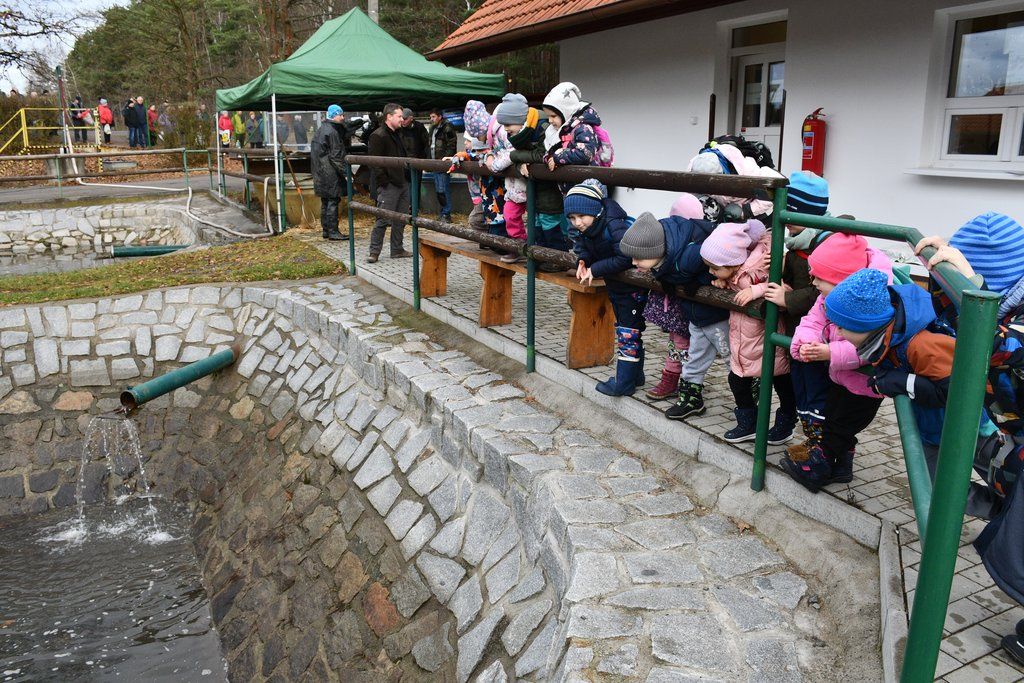 Prodej ryb v Plzni byl zahájen.