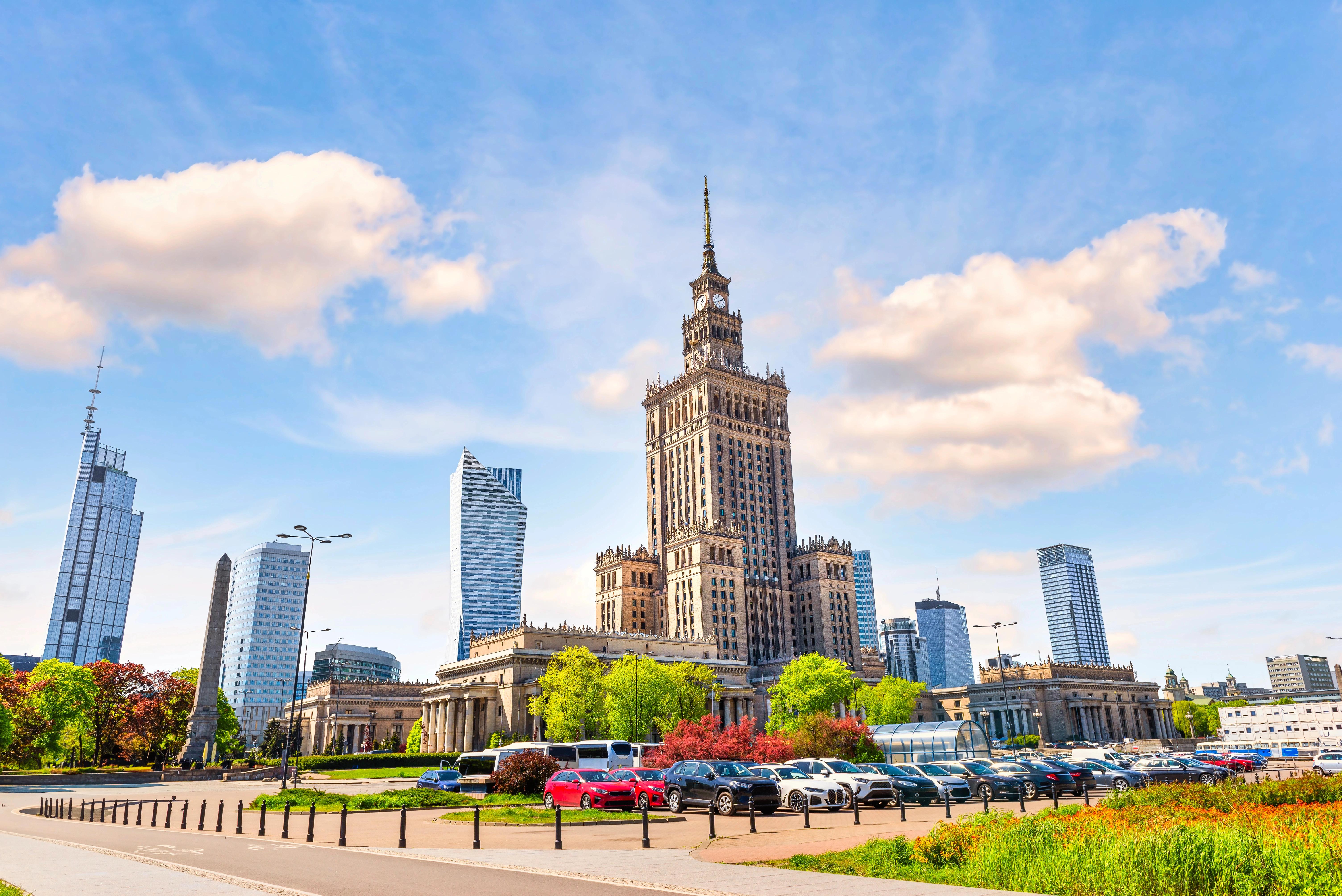 Kam zmizely varšavské kočky? Odborníci varují před útokem krys v ulicích