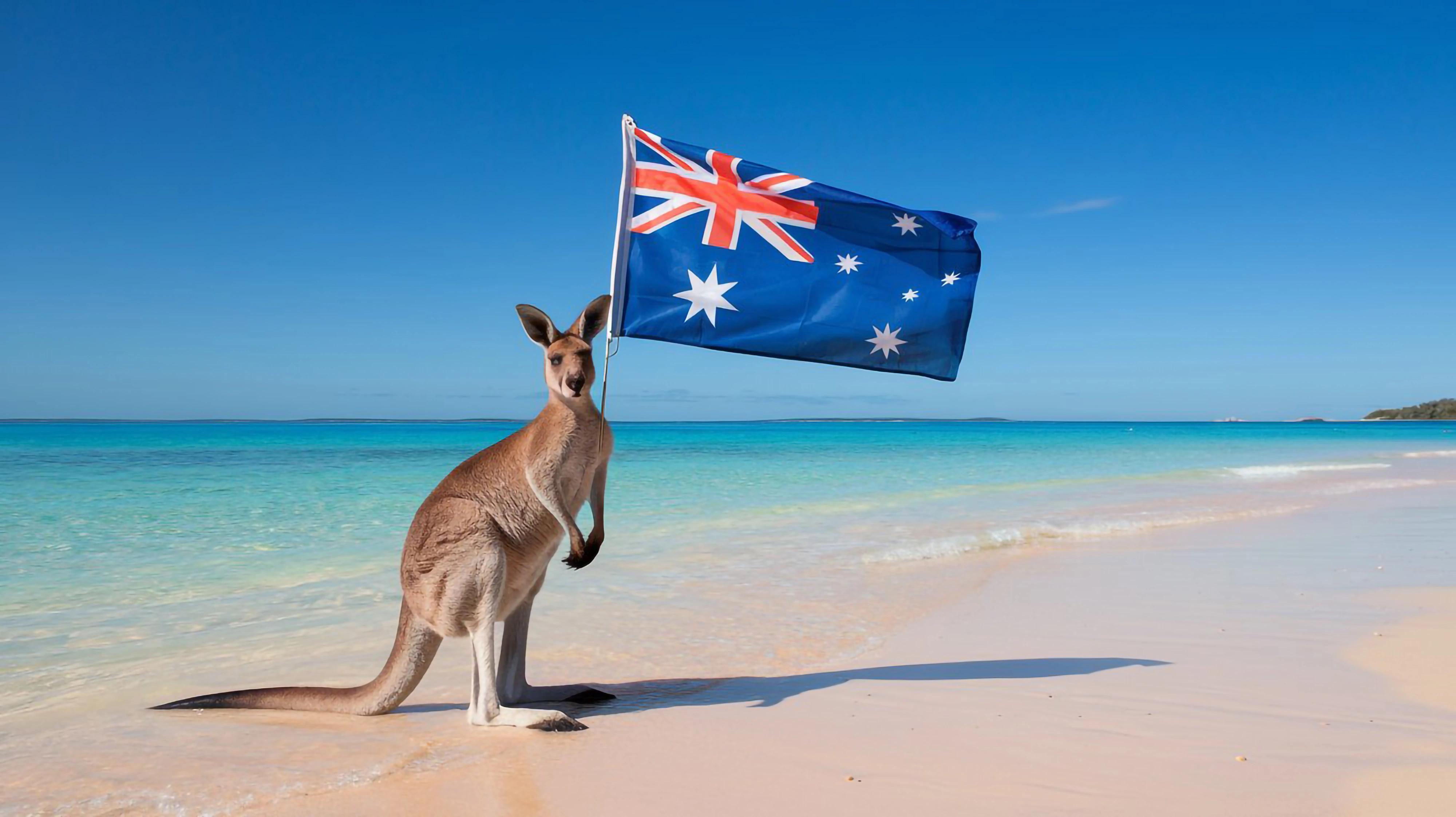 Nečekaná past na letišti: Za obyčejné jablko přišla žena o tisíce korun. Jak se vyhnout pokutě?