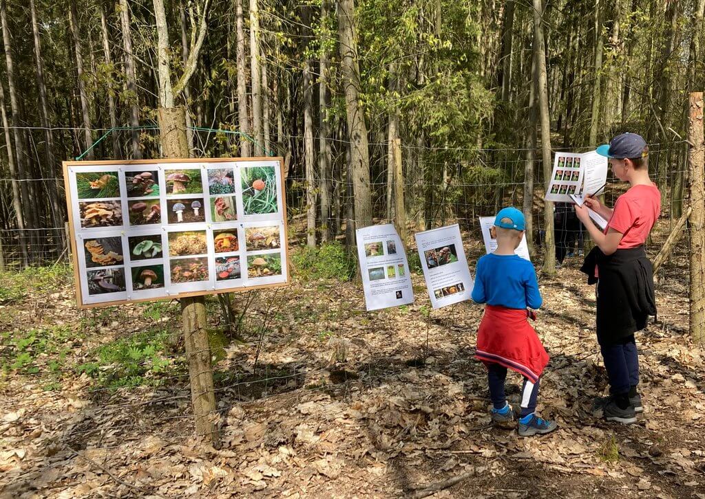 Přijďte obnovit les.