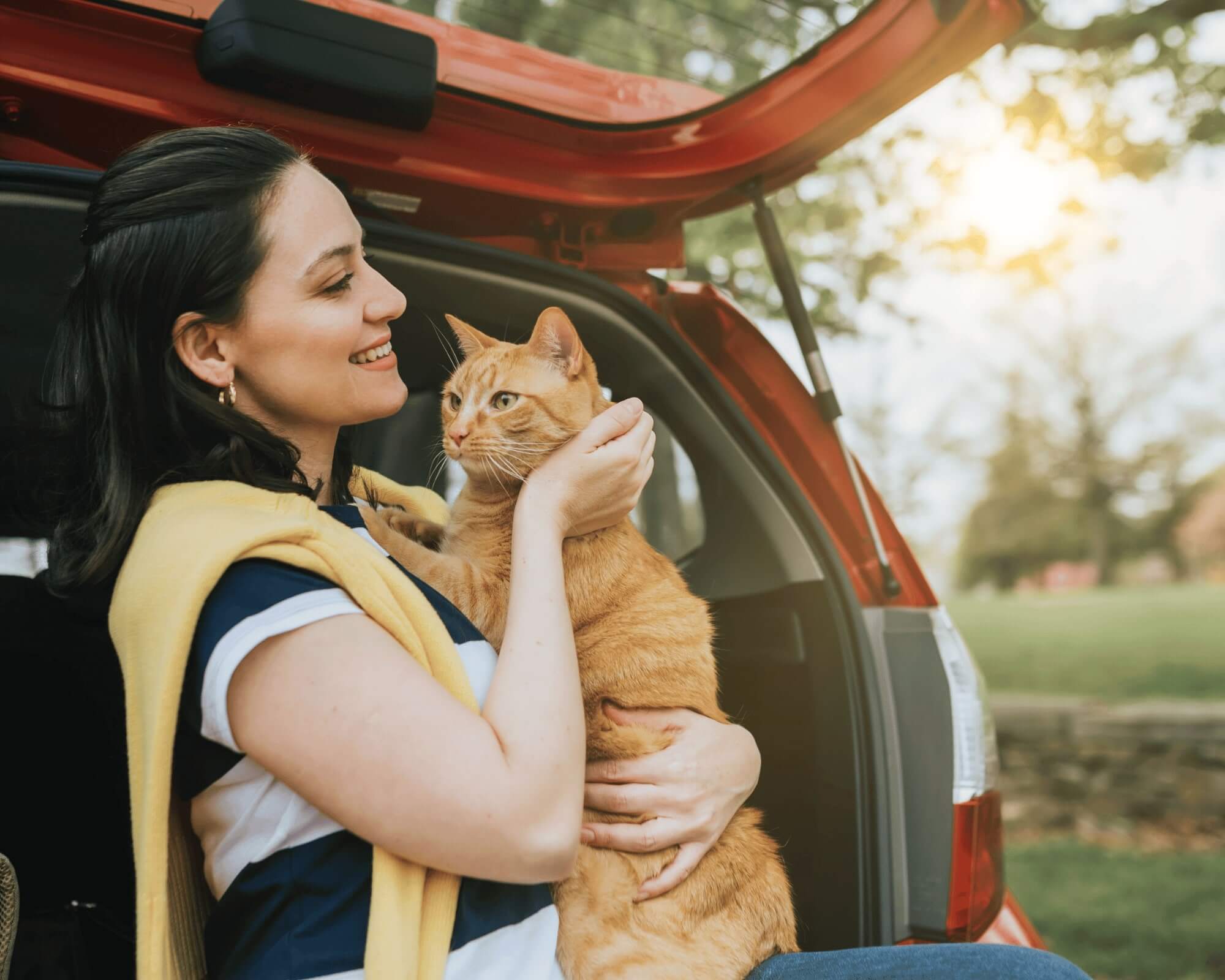 Chystáte se cestovat s kočkou? Učte jí to odmalička, jinak to bude těžké