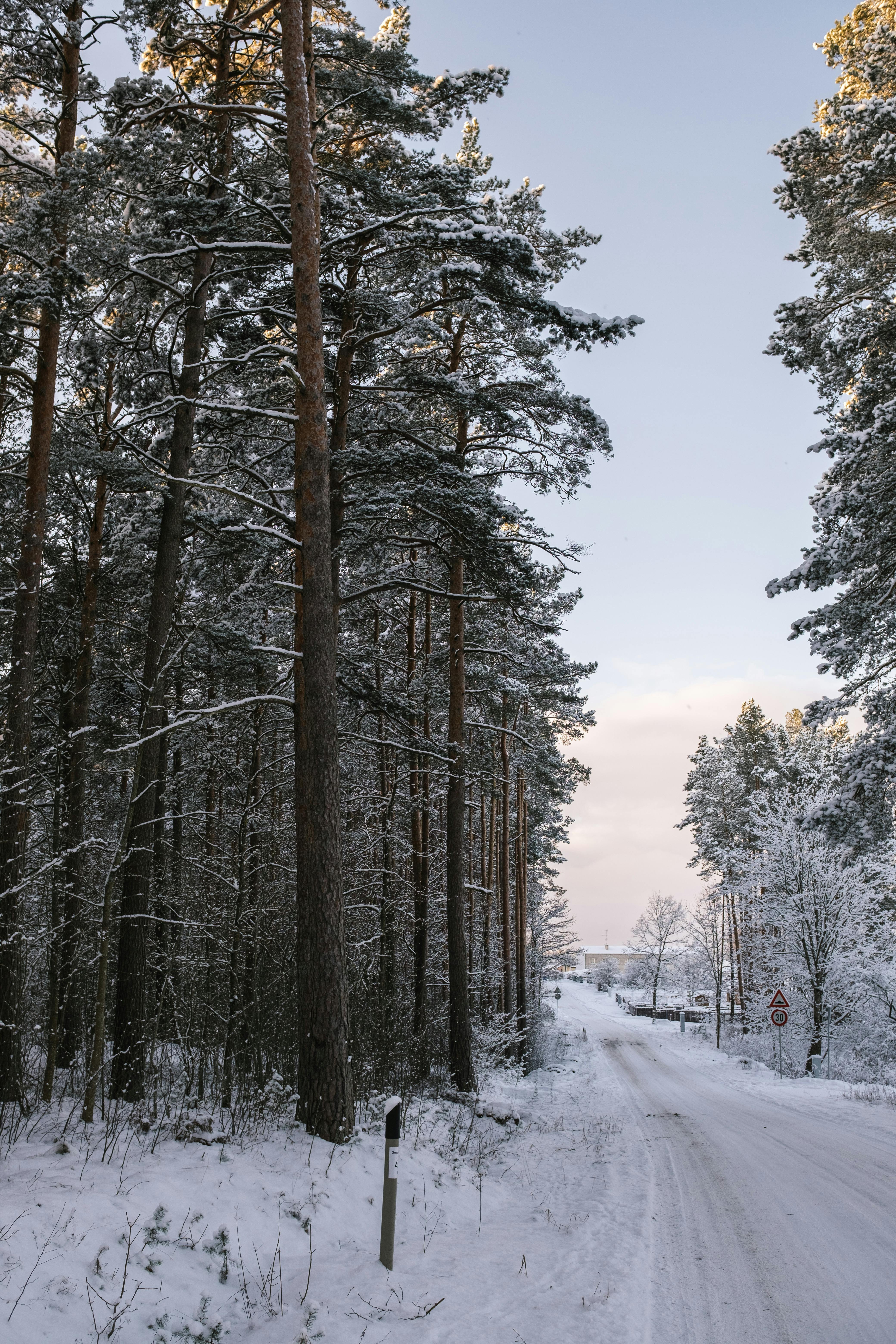 MAPA: Meteorologové vydali akutní výstrahu. Ledovka pokryje další území