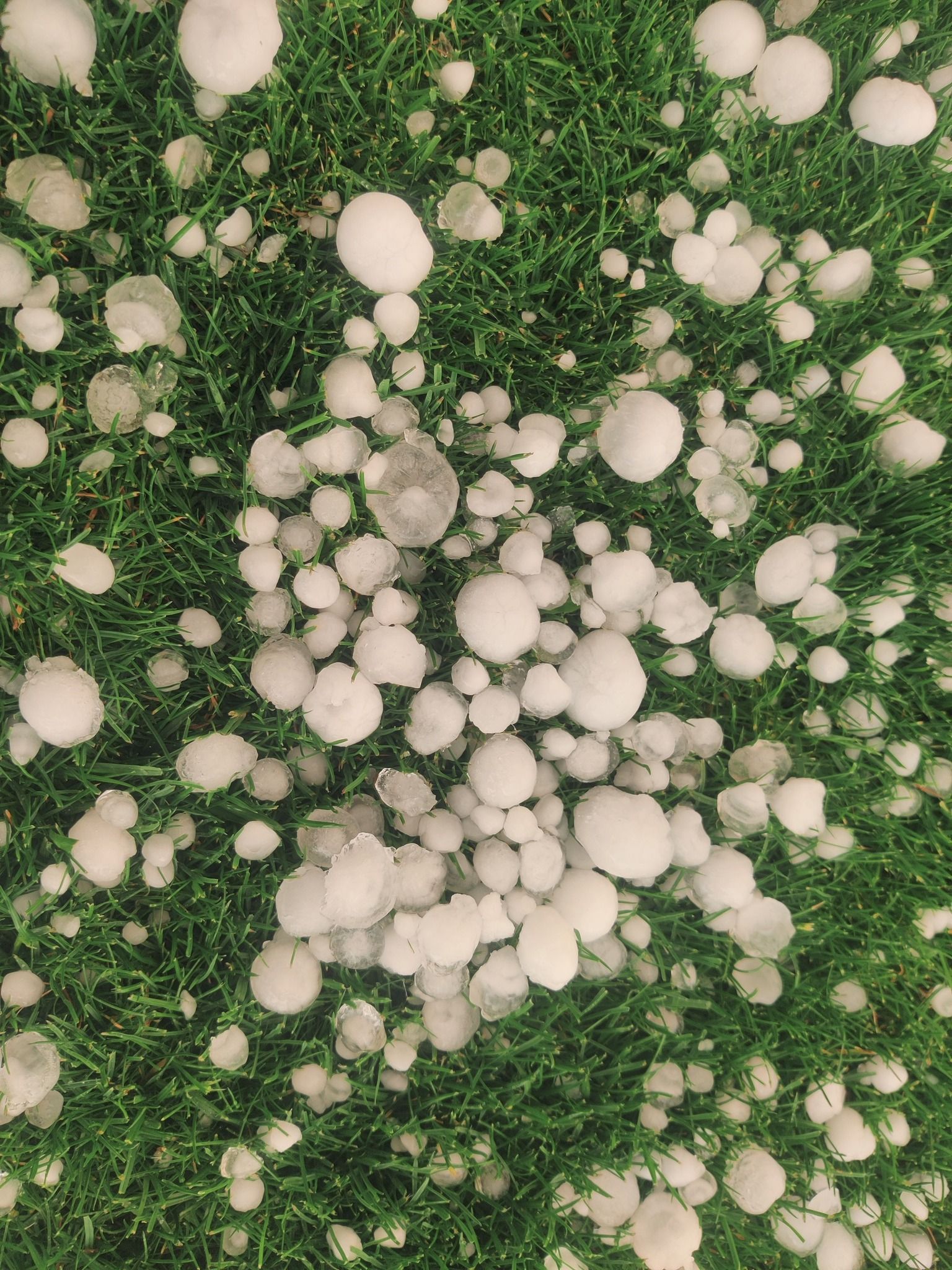  Na některých místech padaly kroupy o velikosti malého pingpongového míčku.