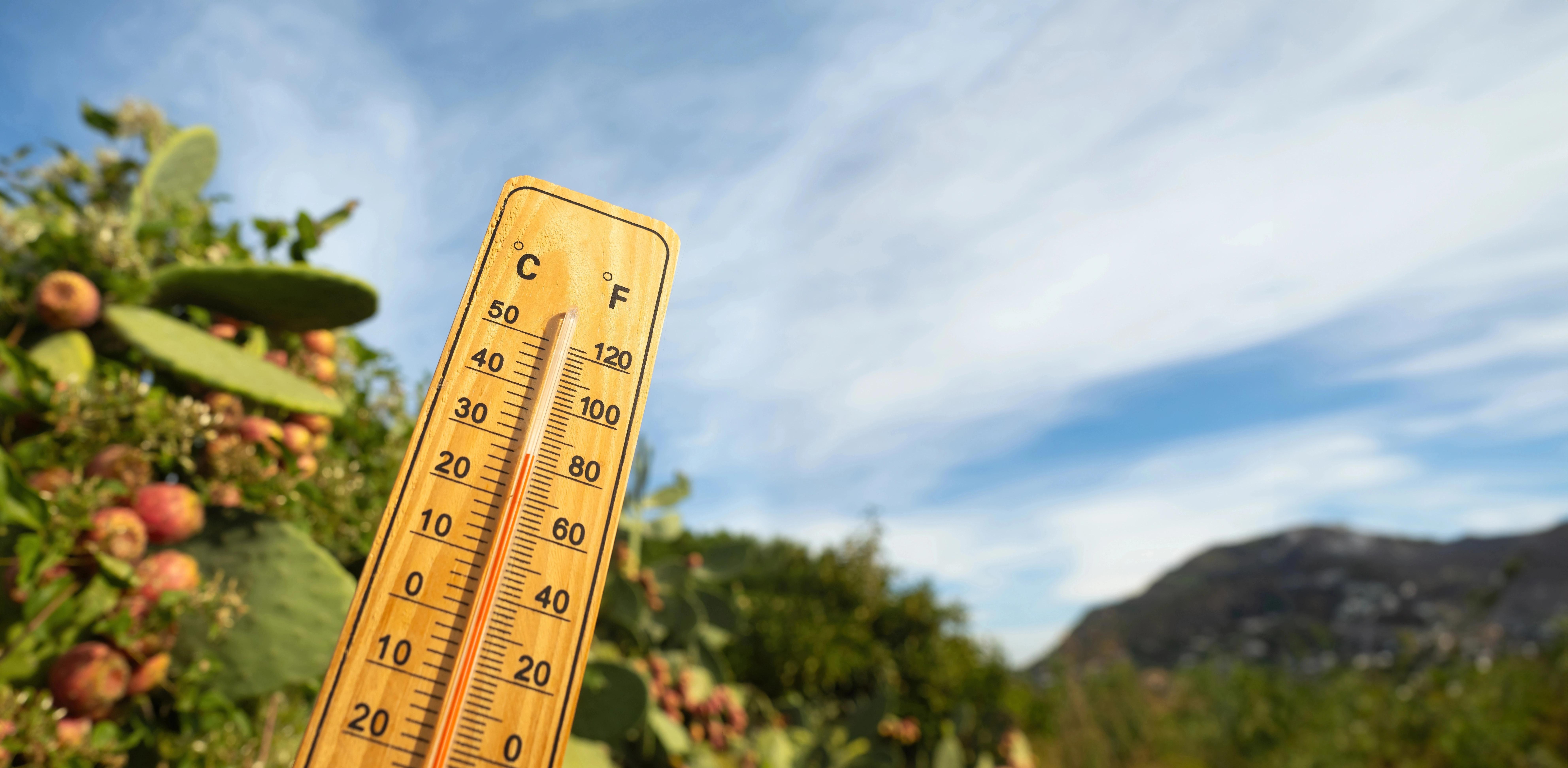 Letošní léto může být rekordní: Experti varují před vlnou veder, která změní běžný život