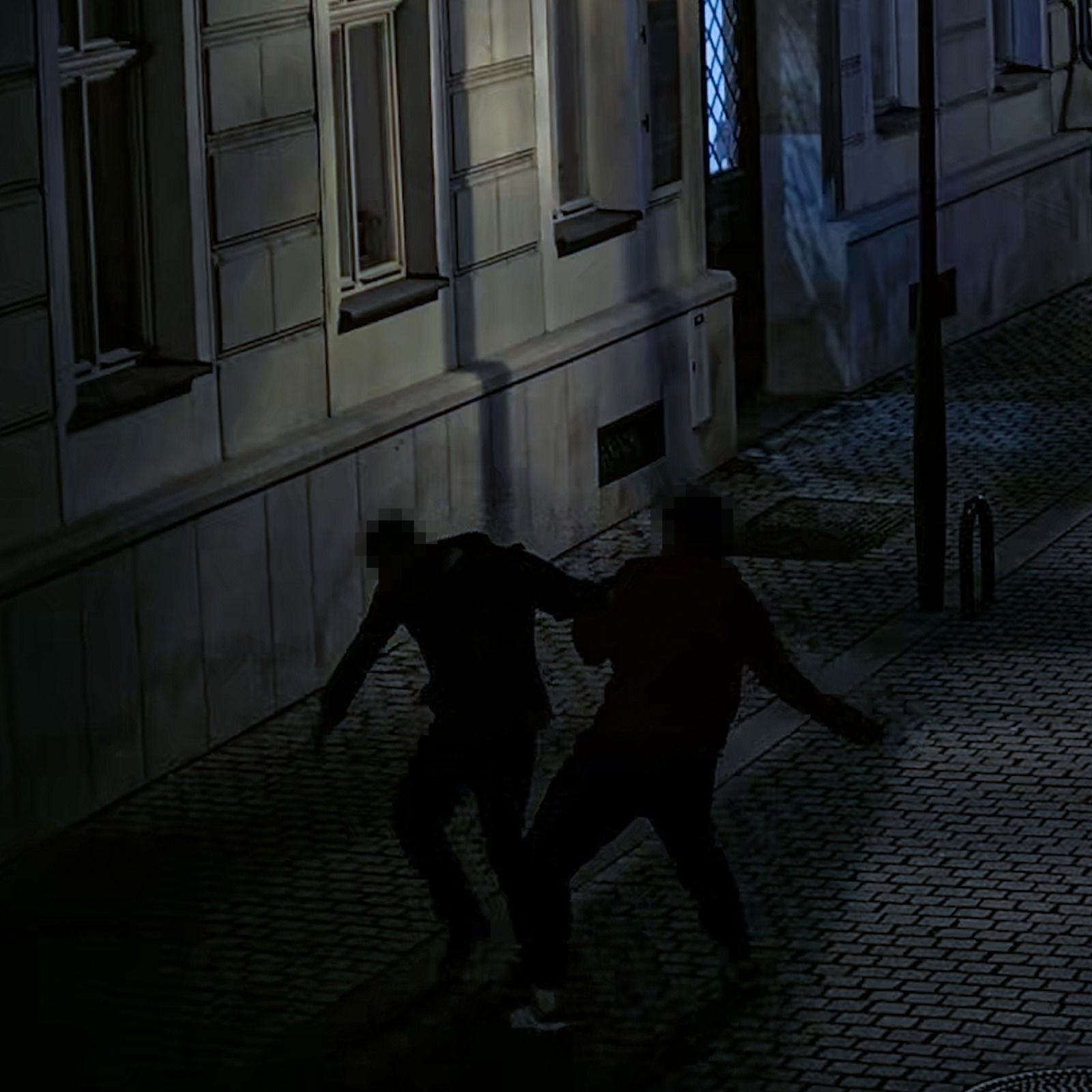 Rvačka v centru Plzně