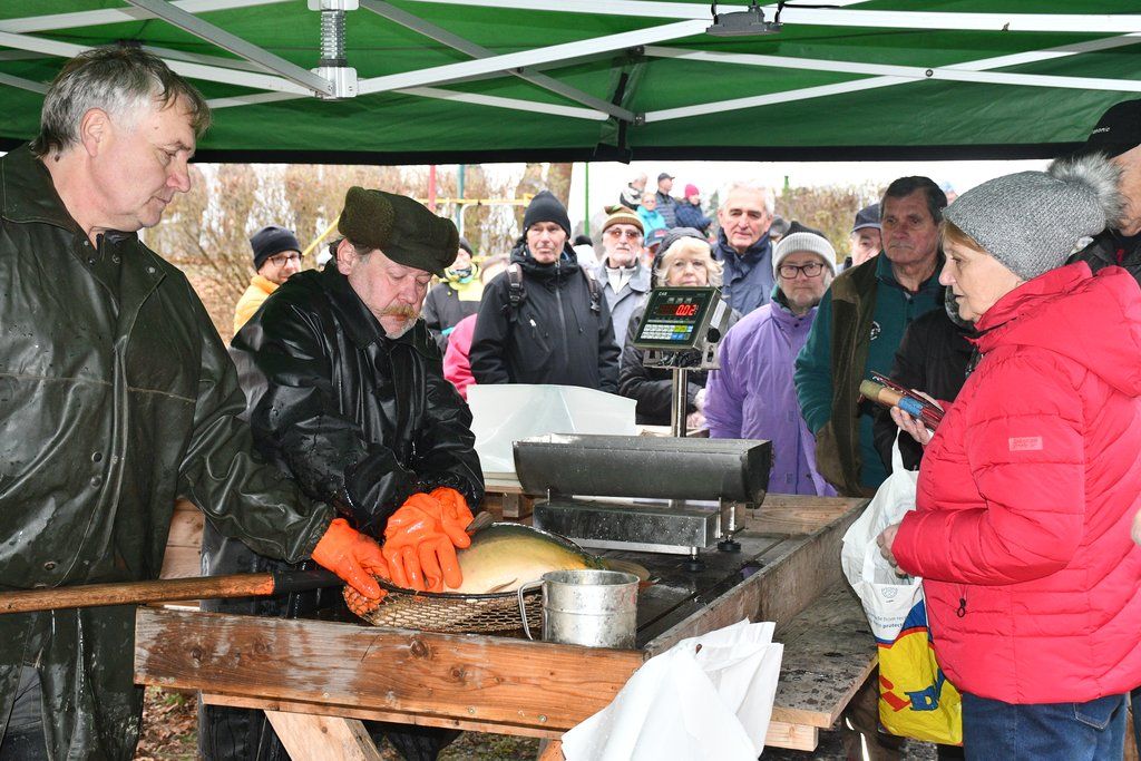 V Plzni spustili prodej ryb.